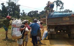 Chấn động chuyện trúng kỳ nam hàng trăm tỉ đồng 