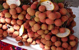 Bí quyết chọn quả vải ngon 
