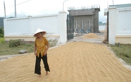 “Khát” bên... nhà máy nước sạch