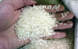 Bảo quản gạo không bị mốc