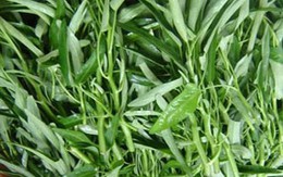 Mẹo lựa chọn rau, củ an toàn 