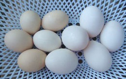 Tránh trụy tim bằng vitamin D 