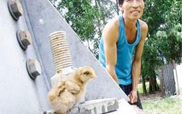Mỗi tuần 7 chuyện