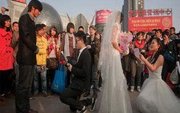 Cuộc đời cay đắng của một "bóng kín"