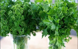 Bí quyết bảo quản rau thơm 