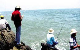 Những ông chồng mê cá hơn mê vợ