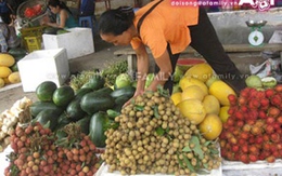 Nhãn Trung Quốc lấy “mác” nhãn lồng Hưng Yên