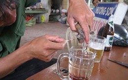 Sốt săn chim sẻ để.... cường dương
