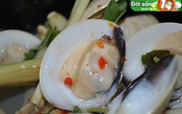 Mát trời đi ăn nghêu thố