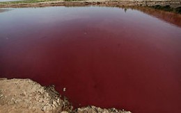 Kinh hoàng nước hồ chuyển màu đỏ như máu