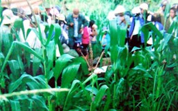Ly kỳ vụ em trai tố anh giết bố