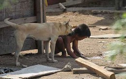 Bé trai bị bác xích trong lều