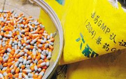 Biến thức ăn gia cầm thành thuốc bổ cho người