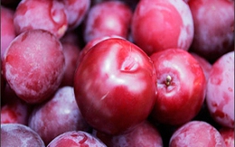 Mẹo giữ thực phẩm tươi lâu