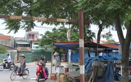 Xin đất rồi bỏ hoang