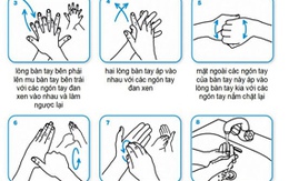 Bạn đã biết cách... rửa tay?