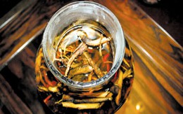 Sẽ thành “con nghiện”!