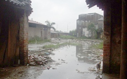 Nhếch nhác chợ Dâu 