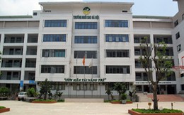 "Nặng như vàng, nhẹ nhàng như giảm án": Cơ quan chức năng vào cuộc