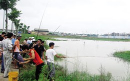 Đại lộ Thăng Long: Ngụp lặn, câu cá và... chăn vịt