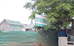 Tiểu thương “đứng đường”