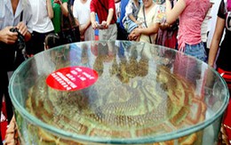 Đánh thuế bánh trung thu gây xôn xao
