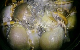 Thơm lừng ốc nướng Tân Bình