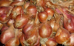 Mẹo bảo quản hành khô được lâu 