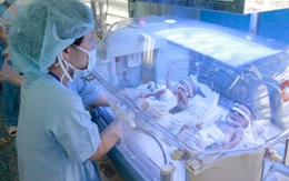 4 bé sinh tư đã uống được sữa