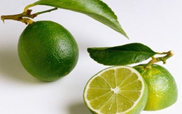 10 mẹo hay với quả chanh 