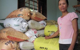 Sự thật tin đồn loại gạo gây vô sinh và ung thư