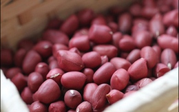 Mẹo giữ lạc rang giòn lâu