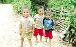 Những thảm cảnh ở “thủ phủ” ma túy
