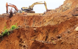 Tan hoang núi Hồng