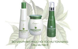 Chihtsai - Thay lời yêu thương