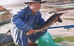 Chuyện ly kỳ của vị doanh nhân từng lĩnh án tử