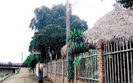 Nguy cơ quay trở lại thời kỳ đèn dầu