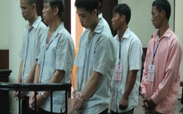 100 con vịt làm một người chết