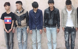Bắt nhóm trộm chó chuyên nghiệp 