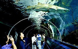 Vẻ đẹp kì diệu của các hồ thủy sinh nổi tiếng
