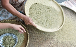 Hóa chất nhuộm cốm có thể gây ung thư