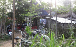 Ác phu mê “đỏ đen”