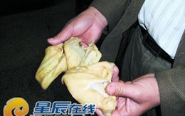 Tai lợn nghi làm từ... getalin và nhựa