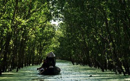 Ngây ngất lướt giữa hai thế giới ở Trà Sư