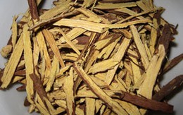 Thực hư cây thuốc “ông uống, bà khen”