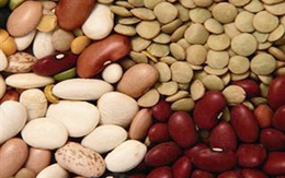 Những thực phẩm giúp hạ cholesterol trong máu