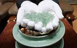 Dịch vụ biến hài cốt thành xá lợi