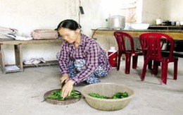 Truy tìm cuốn sách dạy chữa bệnh bằng... nước tiểu
