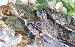 Mẹo làm lạnh thức ăn, đồ uống nhanh