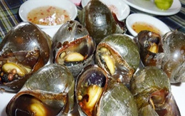 Ốc bươu nướng tiêu